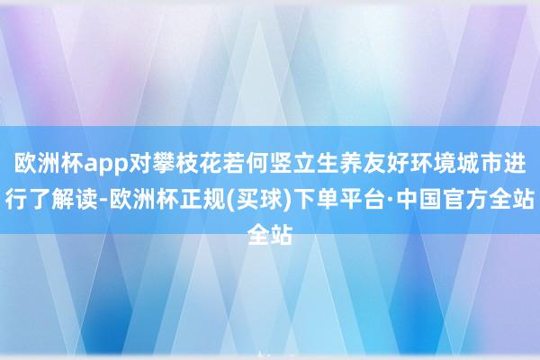 欧洲杯app对攀枝花若何竖立生养友好环境城市进行了解读-欧洲杯正规(买球)下单平台·中国官方全站