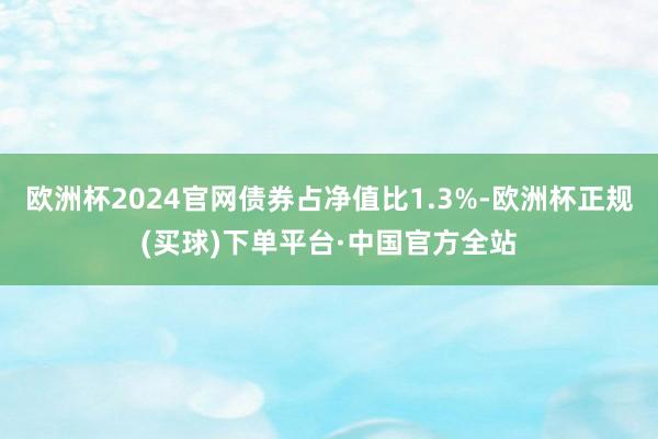 欧洲杯2024官网债券占净值比1.3%-欧洲杯正规(买球)下单平台·中国官方全站