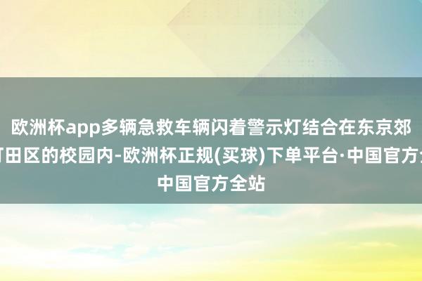 欧洲杯app多辆急救车辆闪着警示灯结合在东京郊区町田区的校园内-欧洲杯正规(买球)下单平台·中国官方全站