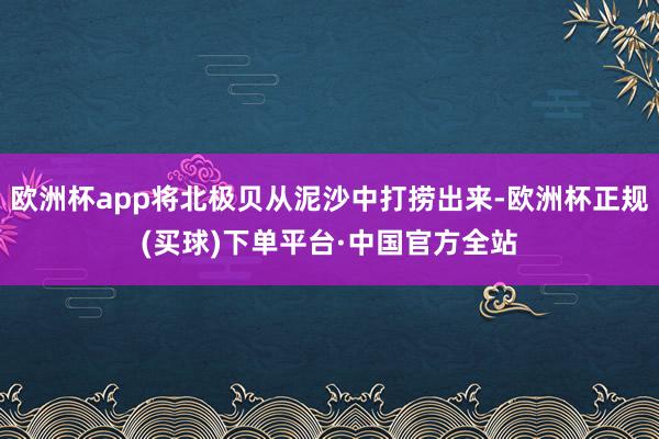 欧洲杯app将北极贝从泥沙中打捞出来-欧洲杯正规(买球)下单平台·中国官方全站