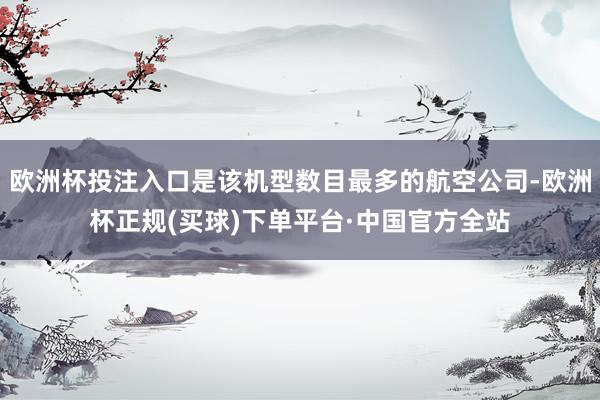 欧洲杯投注入口是该机型数目最多的航空公司-欧洲杯正规(买球)下单平台·中国官方全站