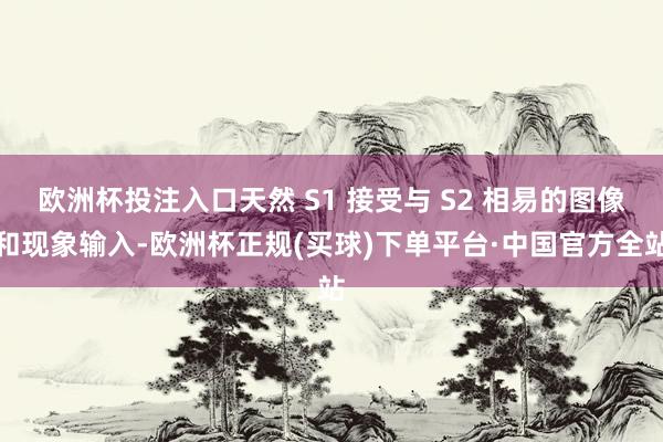 欧洲杯投注入口天然 S1 接受与 S2 相易的图像和现象输入-欧洲杯正规(买球)下单平台·中国官方全站